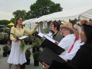 Gallery Voices at FONA