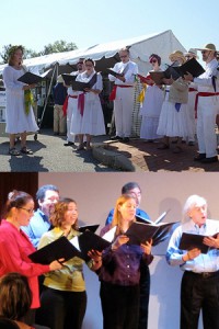 Gallery Voices