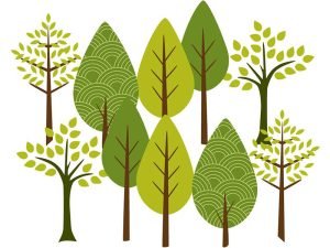 Tu B'Shevat - February 5-6, 2023